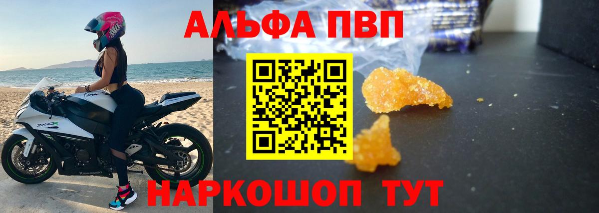 Alfa_PVP крисы CK Ачхой-Мартан