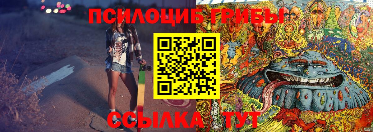 Галлюциногенные грибы Psilocybe Ачхой-Мартан